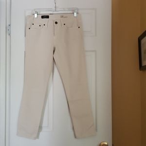 J Crew Toothpick ankle denim size 28 inch